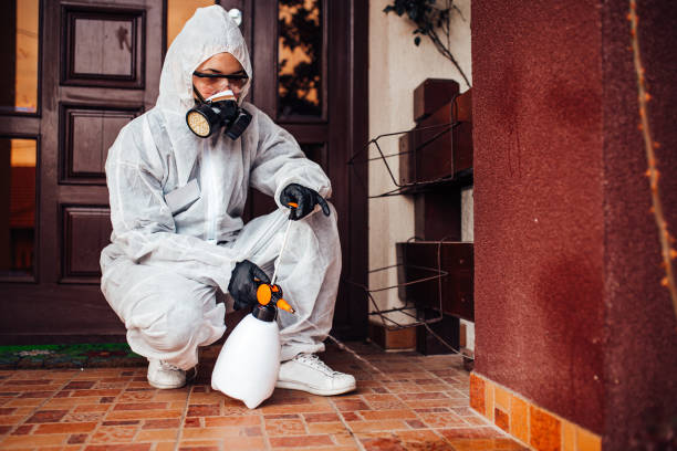 Reliable Bed Bug Control contractor in South St. Paul, MN by Nex Pest Control