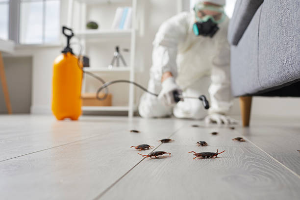 Trusted Termite Control service in South St. Paul, MN - Nex Pest Control